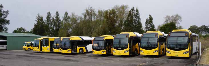 Shoal Bus depot